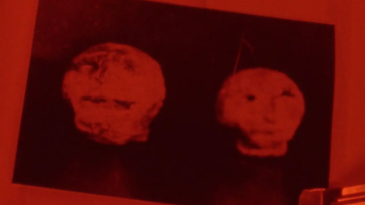 Fotogramma di Hexham Heads