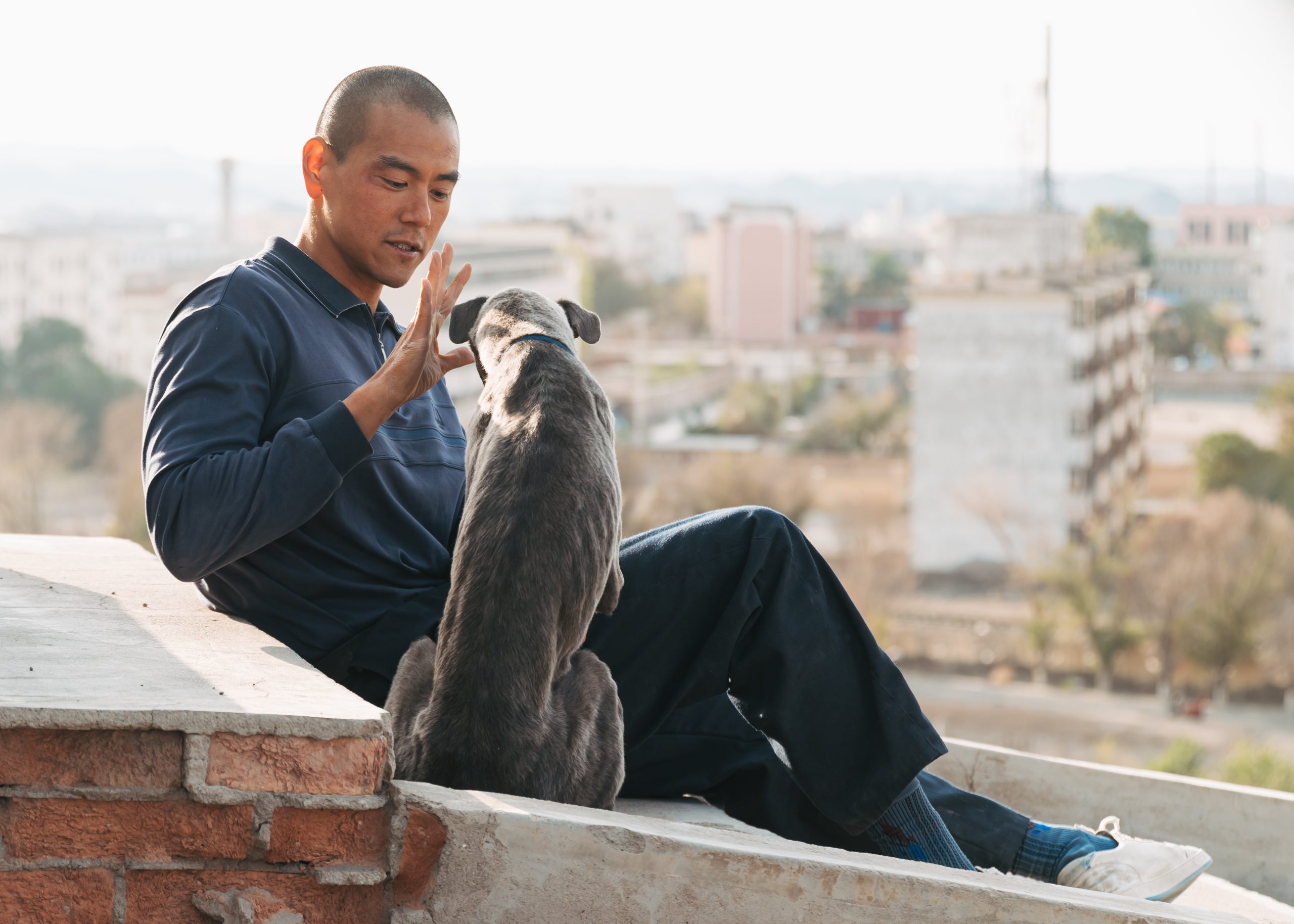 Black Dog (2024) – Regia di Guan Hu – © The Seven Art Pictures – Con Eddie Peng – Immagine concessa per uso editoriale.
