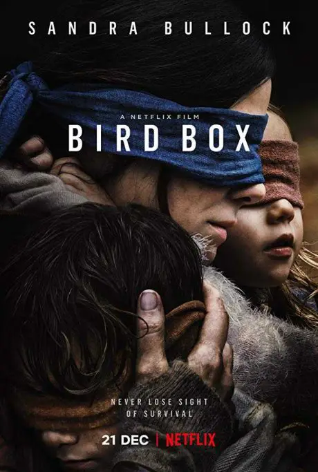 loncandina poster Bird Box