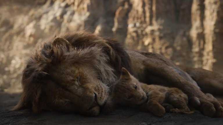 Morte mufasa il re leone 2019