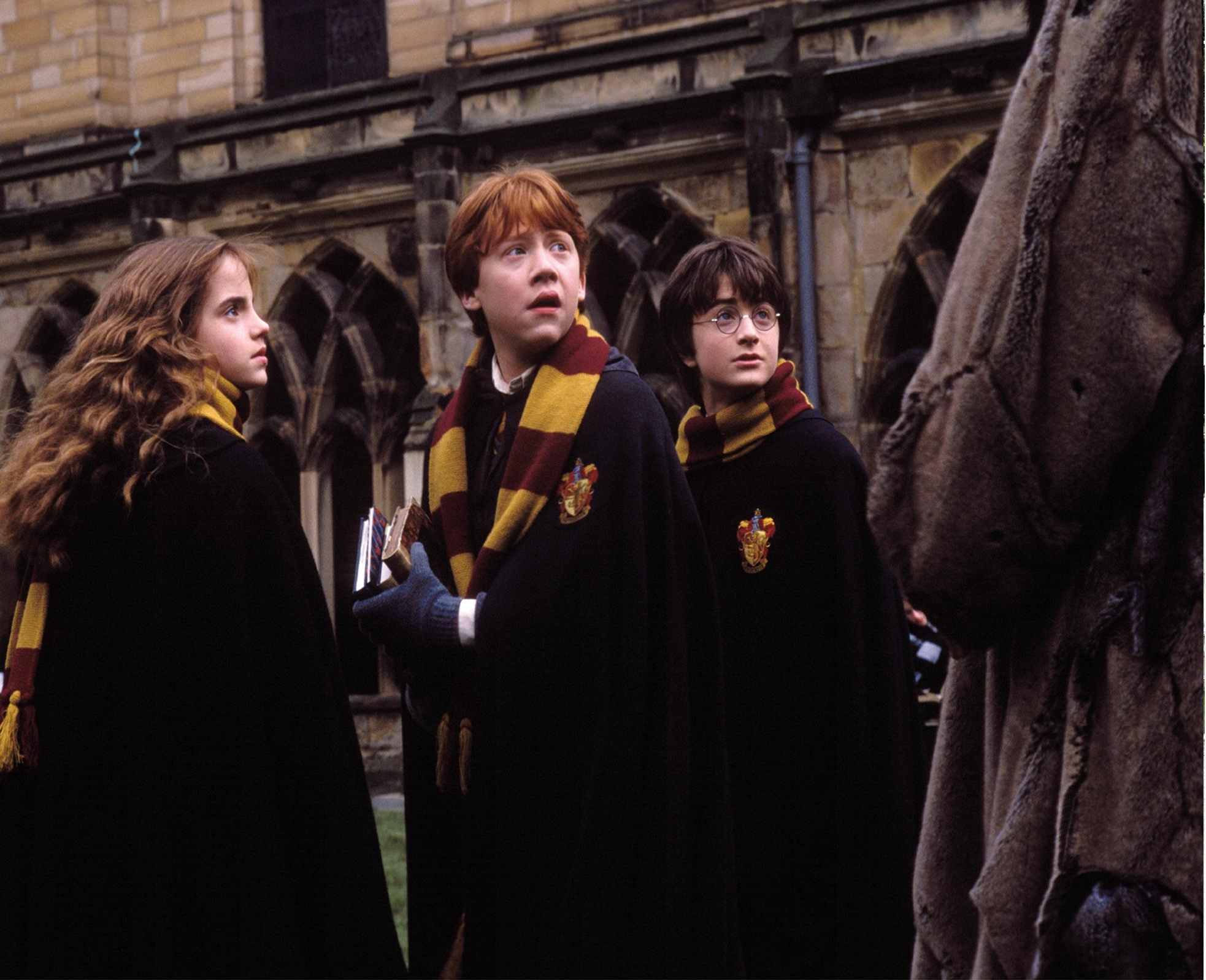 Hermione, Ron e Harry - Harry Potter e la camera dei segreti (2002)