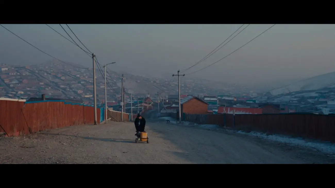 Il paesaggio in Se solo fossi un orso