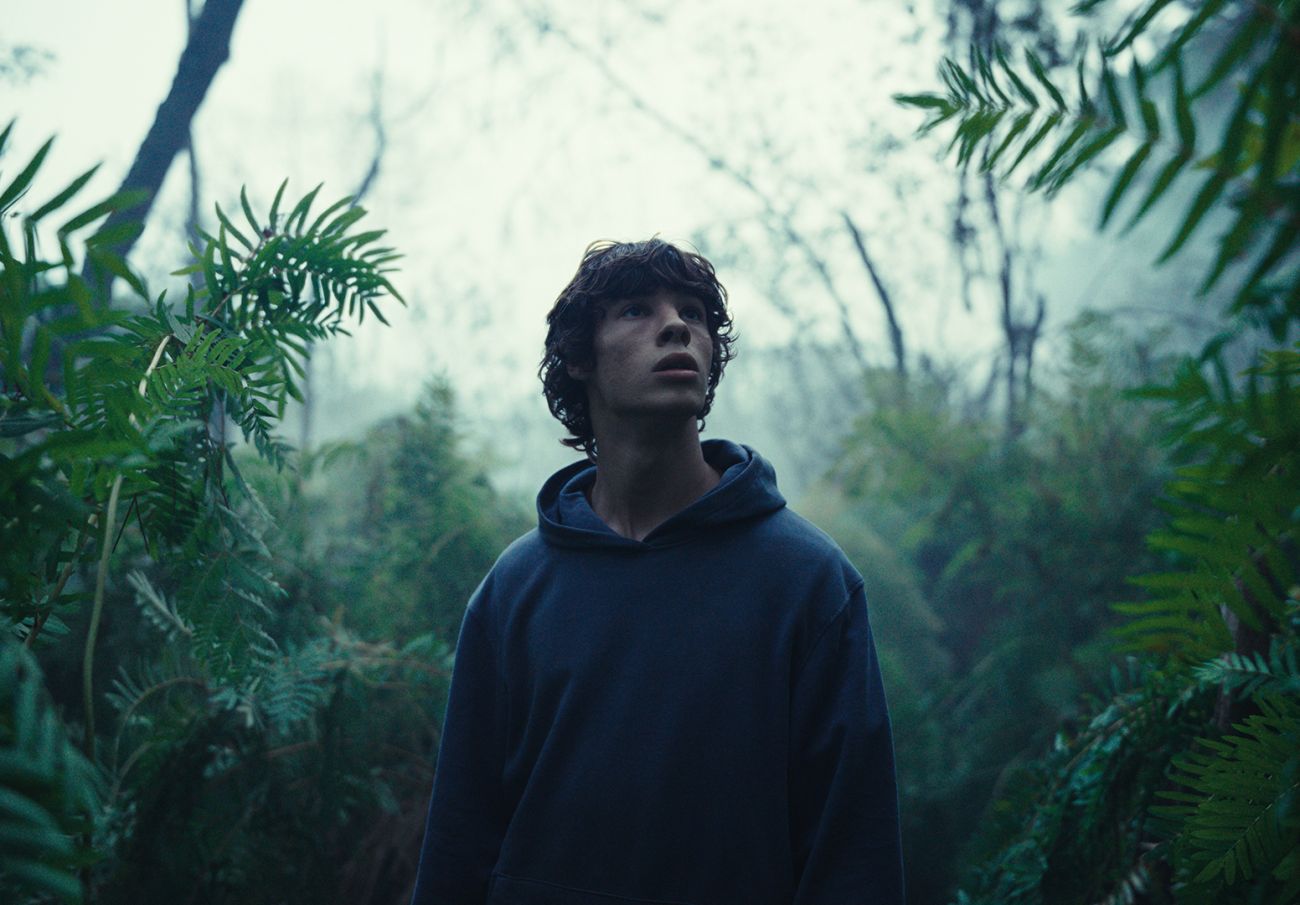 Fotogramma di The Animal Kingdom (2023) il fantasy prende piede