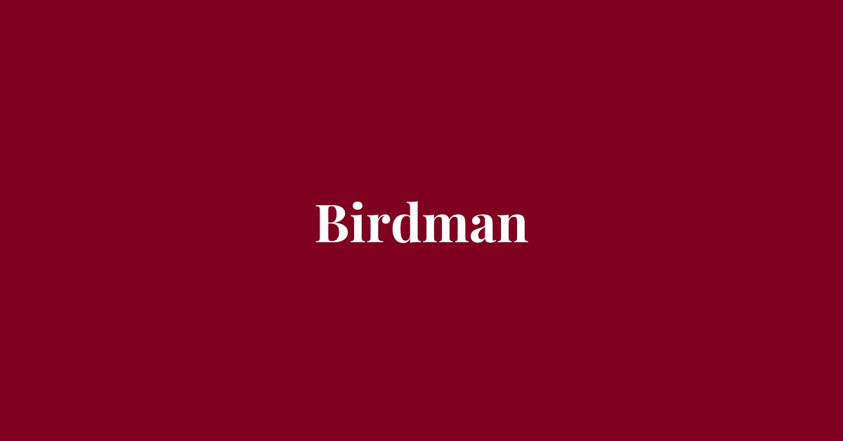 Birdman - Drammatico - Grafica de L'occhio del cineasta