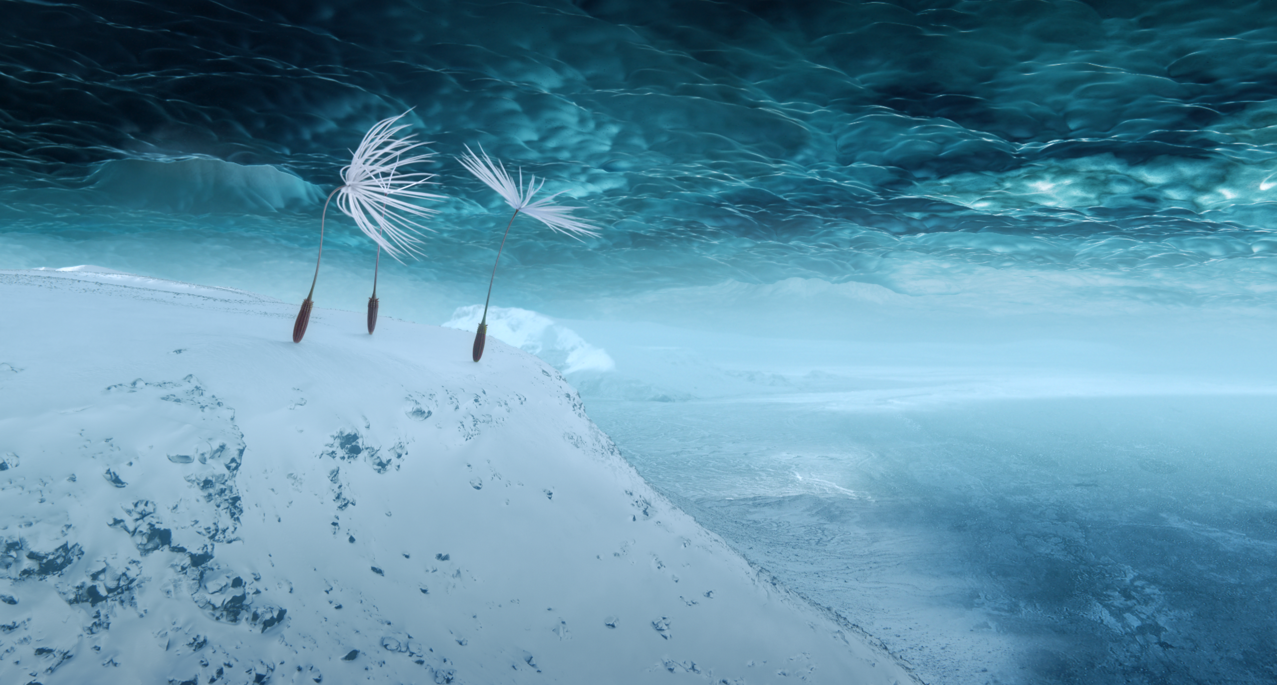 Dandelion’s Odyssey (2025) – Regia di Momoko Seto – © Miyu Productions, Ecce Films, Umedia Production, ARTE France Cinéma, CNRS – Immagine concessa per uso editoriale - Semaine de la Critique del 78° Festival di Cannes,
