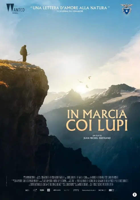 In marcia coi lupi (2019) – Regia di Jean-Michel Bertrand – © MC4, France 3 Cinéma – Distribuzione italiana Wanted Cinema – Immagine concessa per uso editoriale.