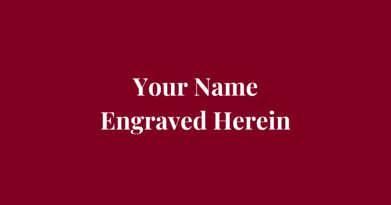 Your Name Engraved Herein (2020).