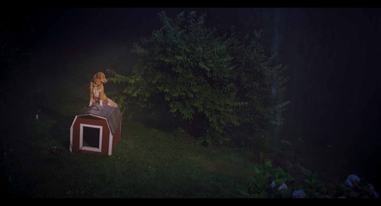 Good Boy (2025) - Credit. MIDNIGHT FACTORY - Immagine ricevuta per uso editoriale da Ufficio stampa Echo