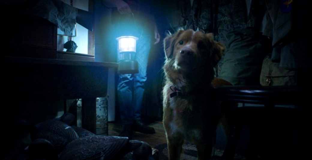 Good Boy (2025) - Immagine ricevuta a uso editoriale dall'ufficio stampa STORYFINDERS